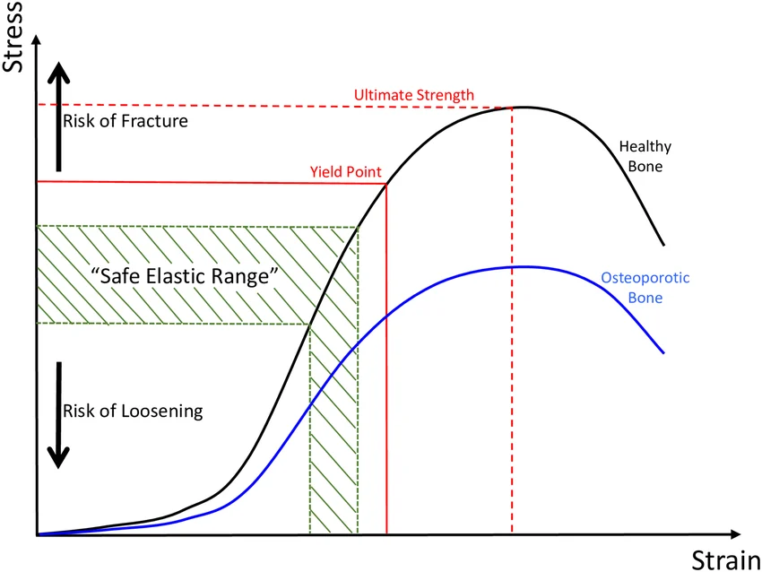 Stress-strain curve of bone