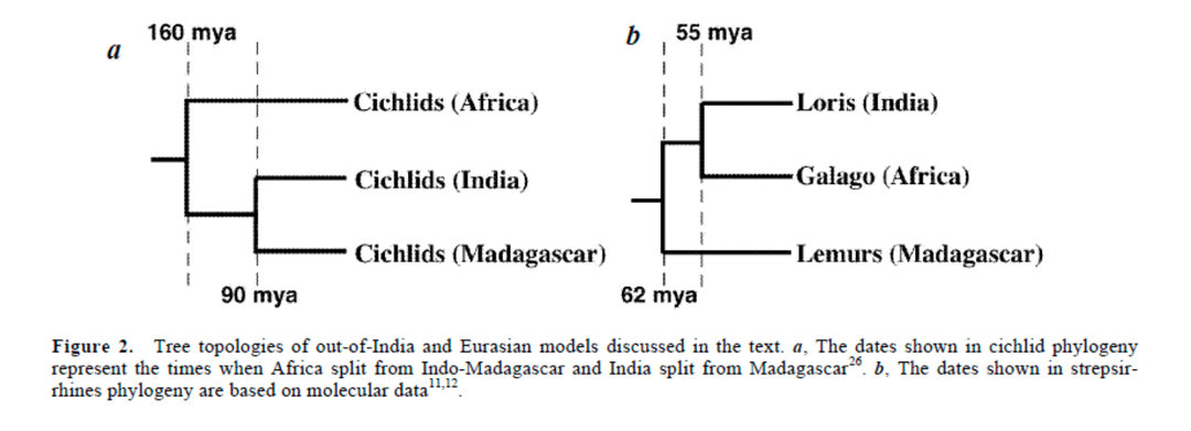 Out of India vs. Out of Africa