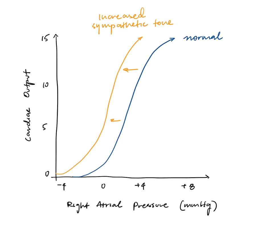 Cardiac function curve