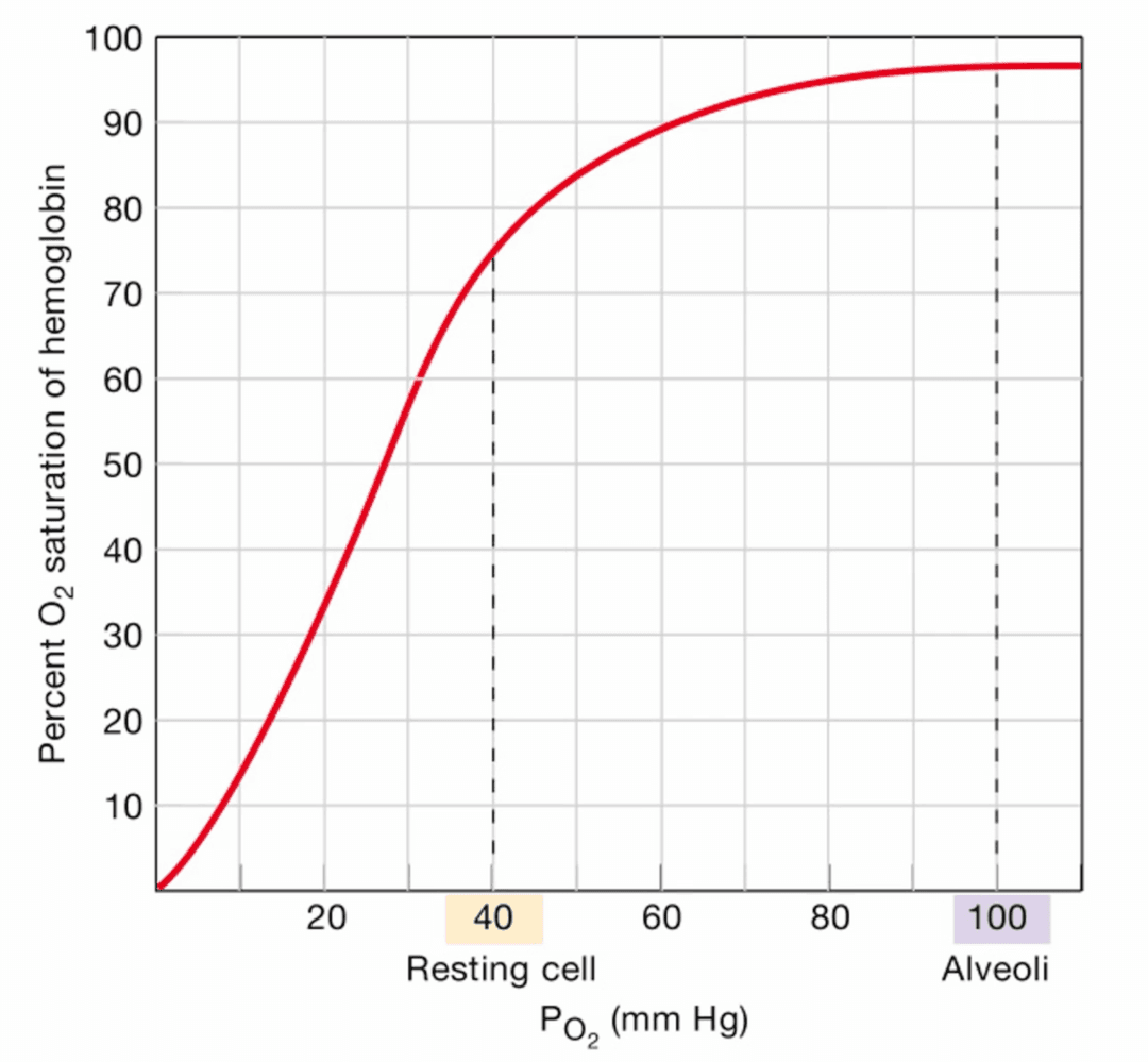 Oxygen hemoglobin dissociation curve